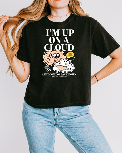 Women's Up On A Cloud - Pigeon John Boxy Tee